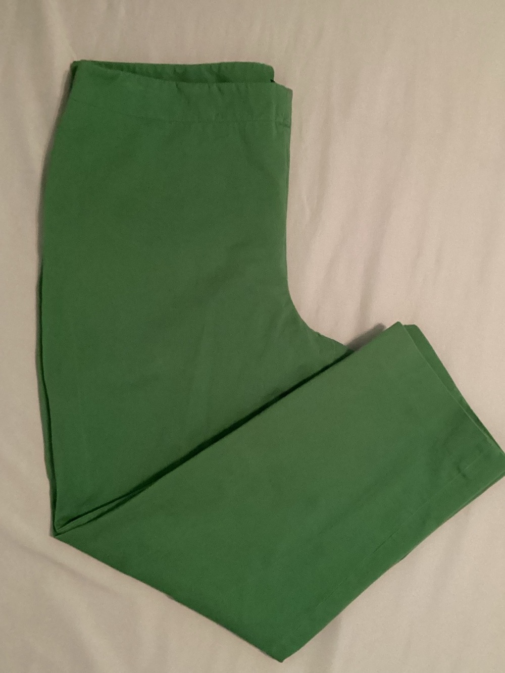 Talbots Woman Side Zip Green Pull On Ladies Pants Size 18